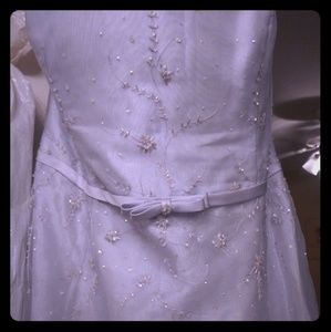 David's Bridal Dress/Gown